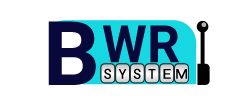 BWR System